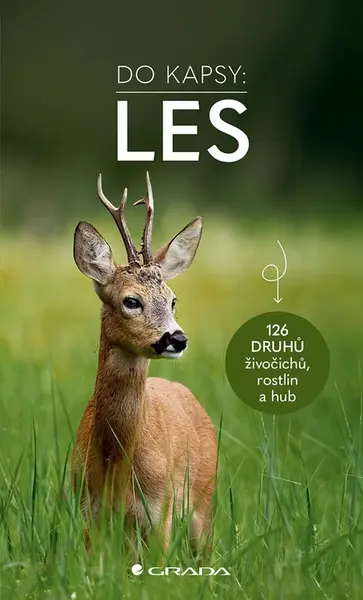 Kniha: Les - Do kapsy od Wilhelmsenová Ute