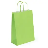 50 x Dárkové tašky z kraftového papíru 250x320x110mm, pistáciové | RAJA