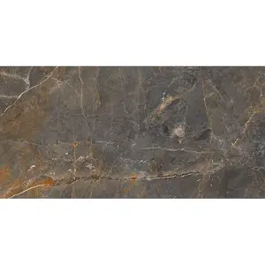 Dlažba Vector Grey 59.7/119.7