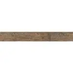 Sokl Century noce 7,2/62