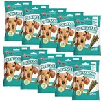 Akinu DENTASTAR Mini pamlsek pro malé a střední psy dentální 110 g 10 x 7 ks