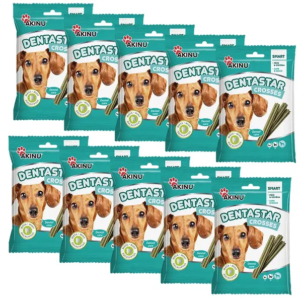 Akinu DENTASTAR Mini pamlsek pro malé a střední psy dentální 110 g 10 x 7 ks
