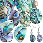 12Pcs Natural Paua Shell Pendants