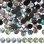100Pcs 2 Styles Natural Abalone Shell/Paua Shell Cabochons
