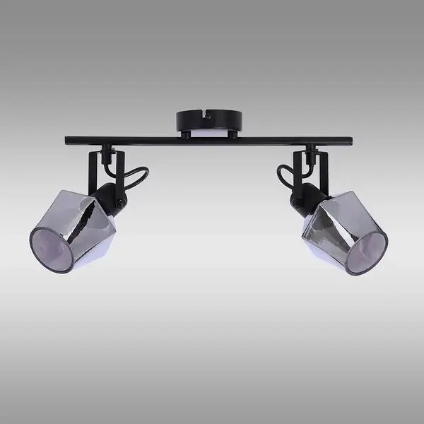 Stropné bodové svietidlo Randi 92-13361 LS2