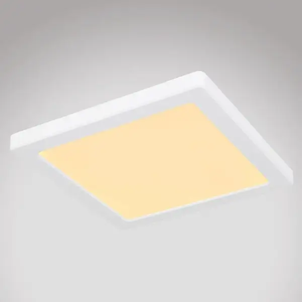 Stropnica 12380-18W LED 18W biely PL