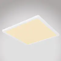 Stropnica 41563-24W LED biely PL