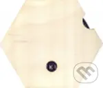 Petr Nikl: Destička nepopsaná - Petr Nikl