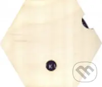 Petr Nikl: Destička nepopsaná - Petr Nikl