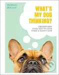 What's My Dog Thinking? (Understand Your Dog to Give Them a Happy Life) - kniha z kategorie Beletrie