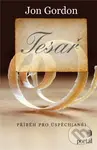 Tesař - Příběh pro úspěch(ané) - Jon Gordon - kniha z kategorie Společenská beletrie