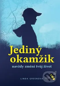 Jediný okamžik (navždy změní tvůj život) - Linda Green - kniha z kategorie Společenská beletrie