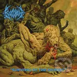 Bloodbath: Survival Of The Sickest - Bloodbath