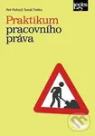 Praktikum pracovního práva - Tomáš Tintěra, Petr Podrazil