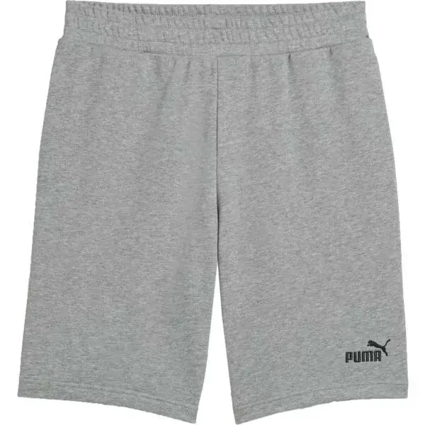 Puma ESSENTIALS NO. 1 SHORTS 10 Pánské volnočasové šortky, šedá, velikost