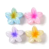 Plastic Claw Hair Clips