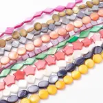 Natural Freshwater Shell Beads Strands