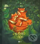 Naikrashcha mama u sviti - Sebastian Perez - kniha z kategorie Pohádky