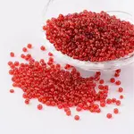 8/0 Glass Seed Beads