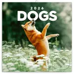 NOTIQUE Nástenný poznámkový kalendár Dogs (Psy) 2026