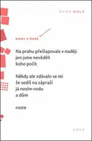 Domy v řadě - Malá Dana