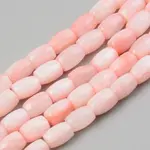 Natural Freshwater Shell Beads Strand