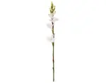 Umelá kvetina Gladiola 85 cm, biela%