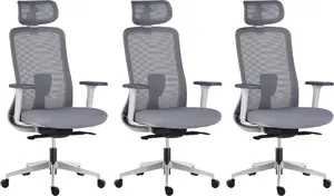LTC 3PACK Ergonomická kancelářská židle APOLLO šedá (3 ks)