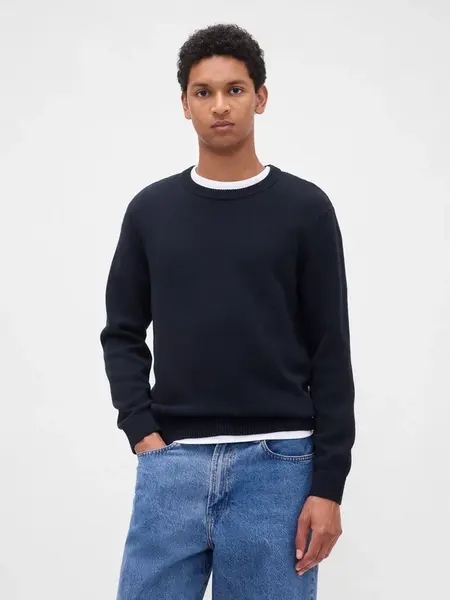 GAP Knitted Sweater - Men's