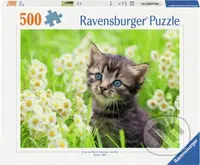 Kotě na louce - puzzle z kategorie Zvířata