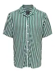 Only & Sons Košeľa 'Wayne'  tmavozelená / biela