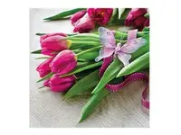 Ubrousek P 33x33 celorok SDL085600