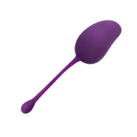 LADY DREAMS Tréninková gulička Gym Ball fialova