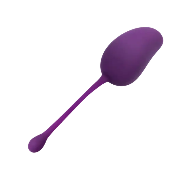 LADY DREAMS Tréninková gulička Gym Ball fialova