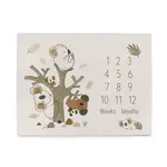 Ceba Podložka milníková na focení (92x72) Basic Koala