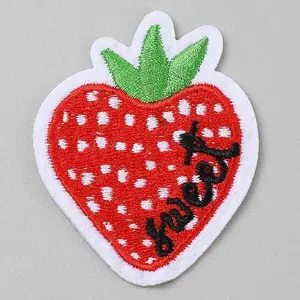 Computerized Embroidery Cloth Iron on/Sew on Patches