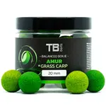 Tb baits vyvážené boilie balanced + atraktor amur 100 g - 20 mm