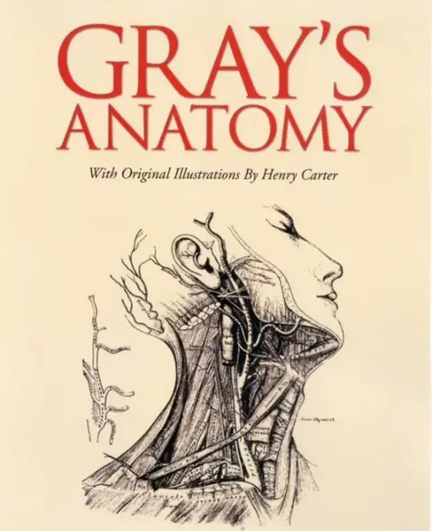 Gray's Anatomy - Henry Gray