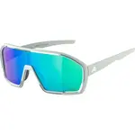 Alpina Sports BONFIRE Q-LITE Slnečné okuliare, sivá, veľkosť