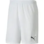 Puma TEAM GOAL 23 KNIT SHORTS Pánske šortky, biela, veľkosť