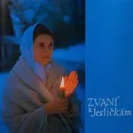 Soubor Javorník – Zvaní k jesličkám