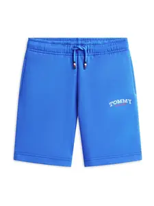 TOMMY HILFIGER Nohavice  modrá / červená / biela