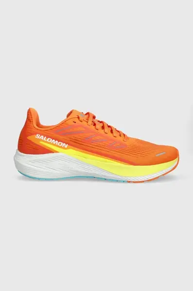 Salomon  Boty  Aero Blaze 2