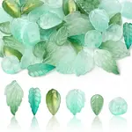 60Pcs 6 Styles Baking Paint Transparent Glass Beads
