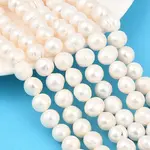 Natural Cultured Freshwater Pearl Beads Strands
