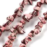 Dyed Natural Trochus Shell Beads Strands