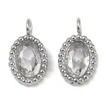 304 Stainless Steel Micro Pave Cubic Zirconia Charms