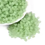 FGB Frosted Transparent Glass Seed Beads