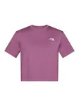 THE NORTH FACE Tričko 'EVOLUTION SIMPLE DOME'  fialová