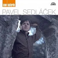 Pavel Sedláček – Pop galerie